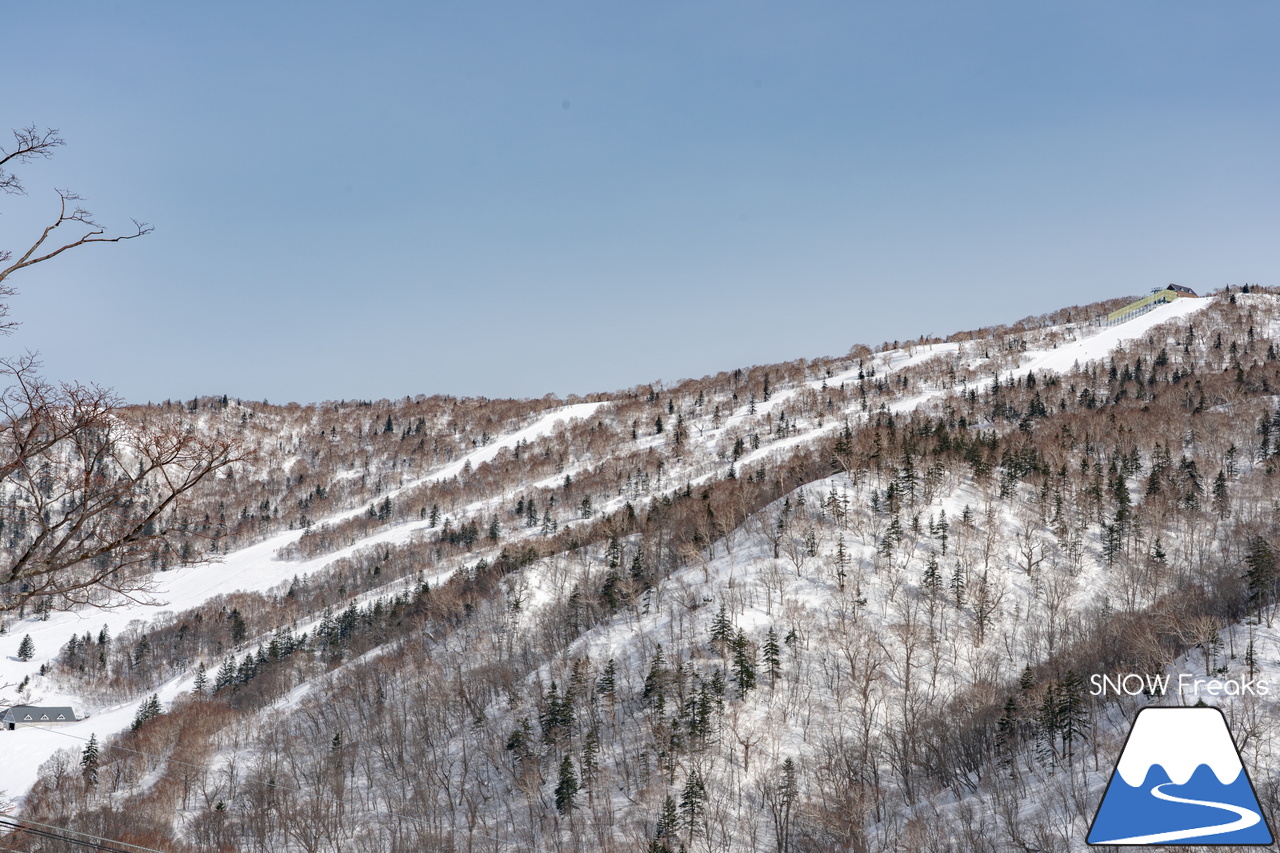 キロロリゾート｜今日の山頂積雪は「340cm」！ビシッと締まったロングコースで快適クルージングが楽しい１日♪